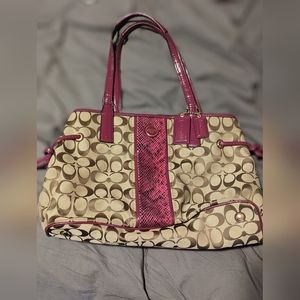 Coach Purcell maroon